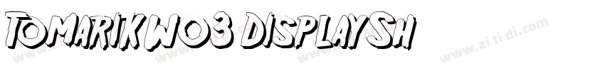 TomarikW03 DisplaySh字体转换